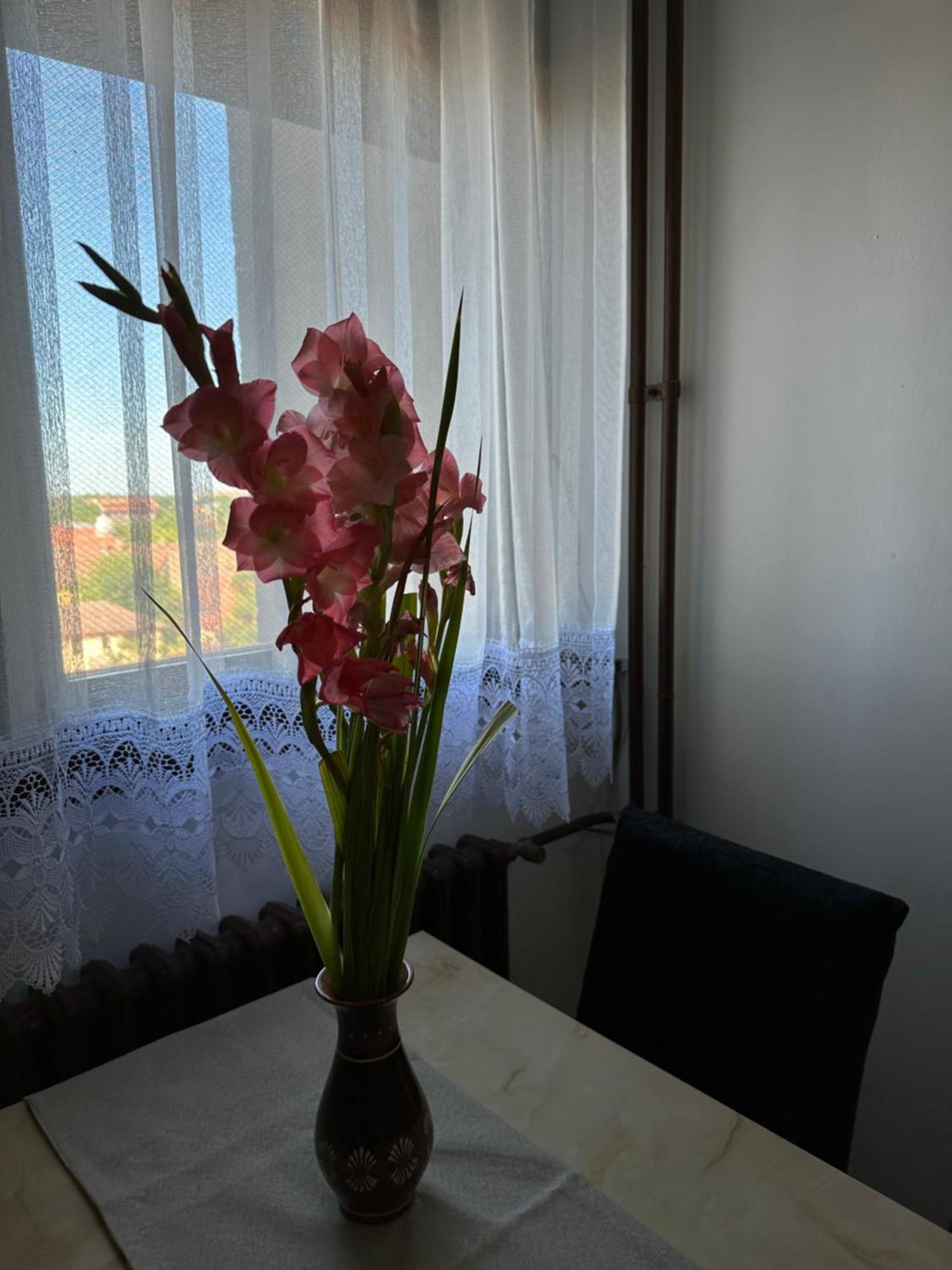 Tamaris Apartment 수보티차 외부 사진